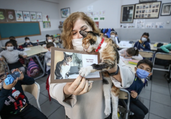 Bursa'da kedi Karamel'e özel karne