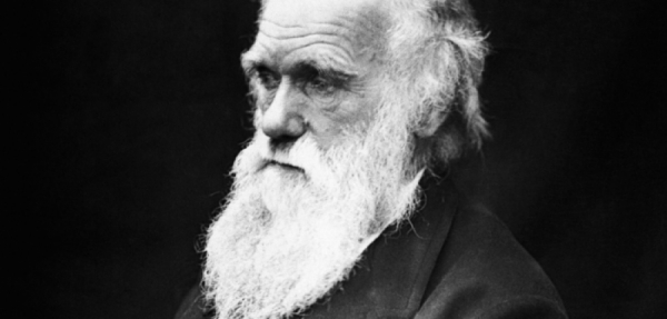 Evrim teorisi ve Darwin yeni müfredata giremedi