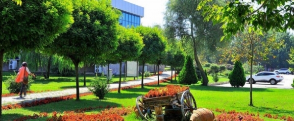Sakarya Üniversitesi 200 üniversite arasına girdi