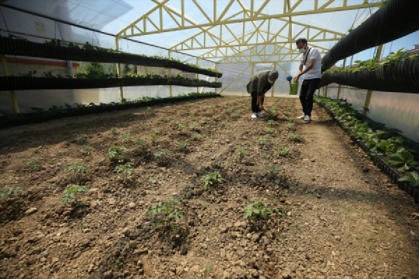 Tarım kenti Kırklareli'nde öğrenciler çiftçiliği okulda öğrenecek