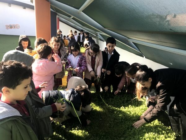 İzmir SEV öğrencileri doğayı korumak için çalışıyor