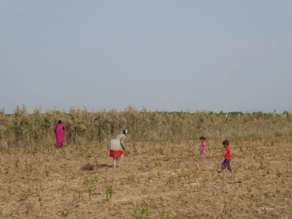 30 yıl sonra ‘yoksulluk’ artı: Yeni yoksullar kadın ve çocuklar