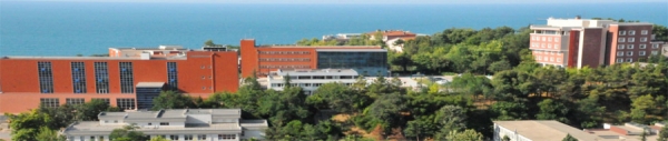 Bülent Ecevit Üniversitesi 