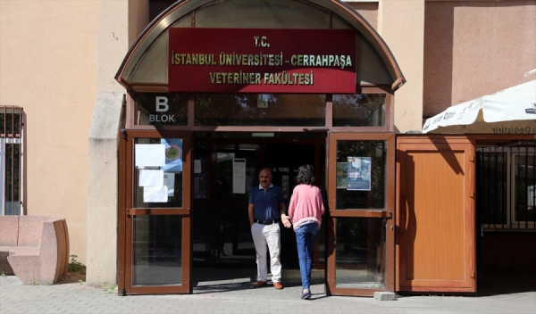 Deprem göçü: Cerrahpaşa'dan 15 bin öğrenci, bin akademisyen taşınıyor