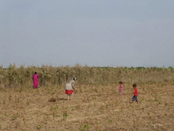 Mevsimlik tarımda çocuk işçiliği nasıl kaldırılır?
