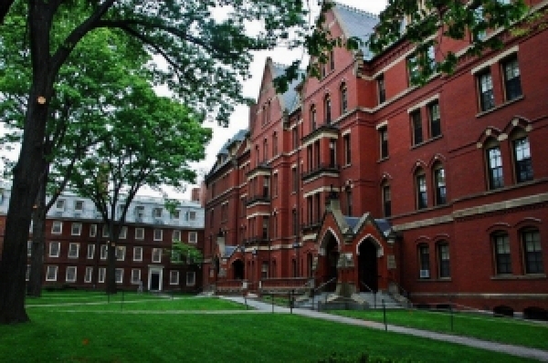 Rektör Gay'i destekleyen Harvard Yönetim Kurulu istifaya çağrıldı